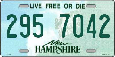 NH license plate 2957042