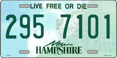 NH license plate 2957101