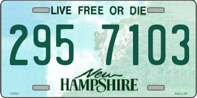 NH license plate 2957103