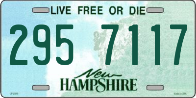 NH license plate 2957117