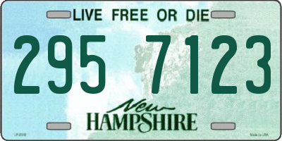 NH license plate 2957123