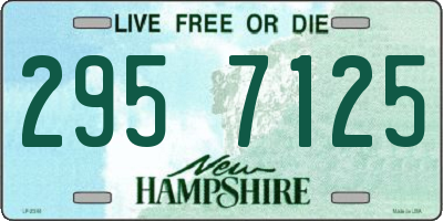 NH license plate 2957125