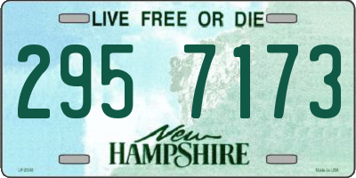 NH license plate 2957173