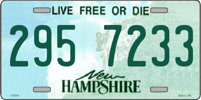NH license plate 2957233