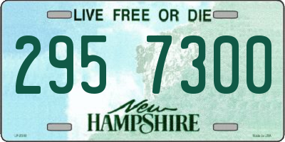 NH license plate 2957300
