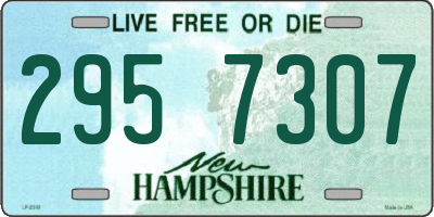NH license plate 2957307