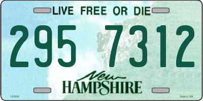 NH license plate 2957312