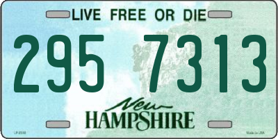 NH license plate 2957313