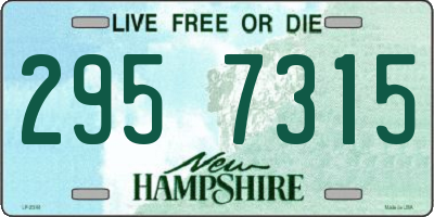 NH license plate 2957315