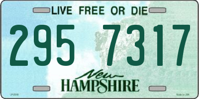 NH license plate 2957317