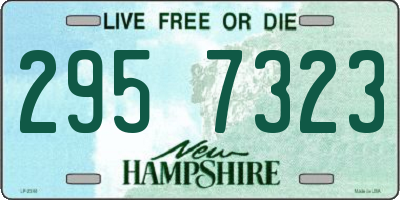 NH license plate 2957323