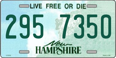 NH license plate 2957350
