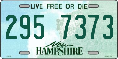 NH license plate 2957373