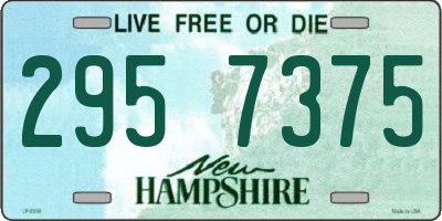 NH license plate 2957375