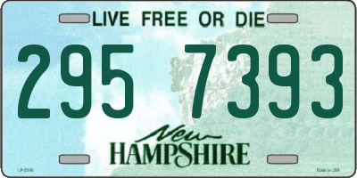 NH license plate 2957393