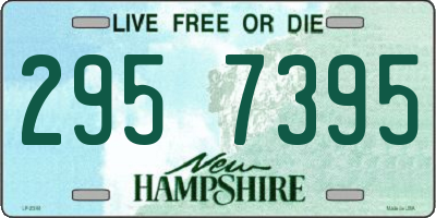 NH license plate 2957395