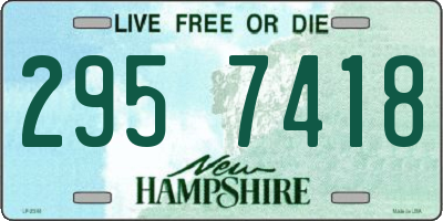 NH license plate 2957418