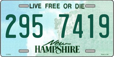 NH license plate 2957419