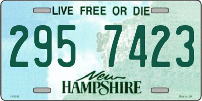 NH license plate 2957423