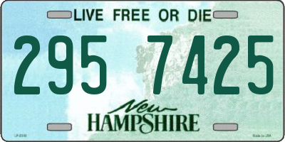 NH license plate 2957425