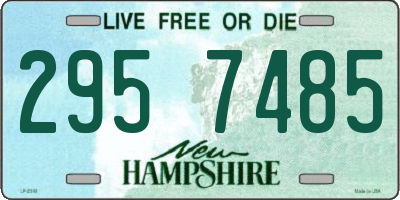 NH license plate 2957485