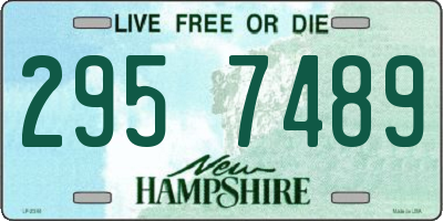 NH license plate 2957489
