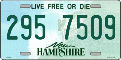 NH license plate 2957509