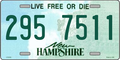 NH license plate 2957511