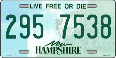NH license plate 2957538