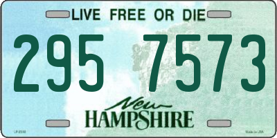 NH license plate 2957573