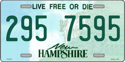 NH license plate 2957595
