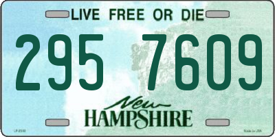 NH license plate 2957609