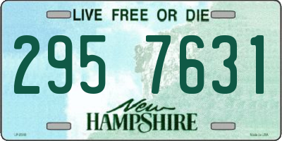 NH license plate 2957631