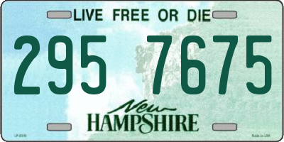 NH license plate 2957675