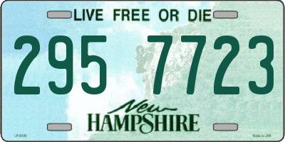 NH license plate 2957723