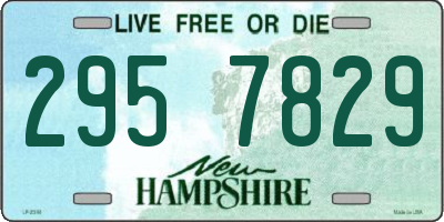 NH license plate 2957829