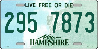 NH license plate 2957873