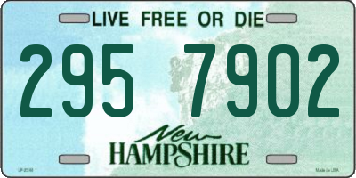 NH license plate 2957902