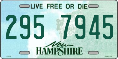 NH license plate 2957945