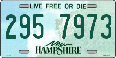 NH license plate 2957973