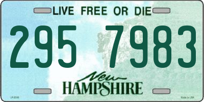 NH license plate 2957983