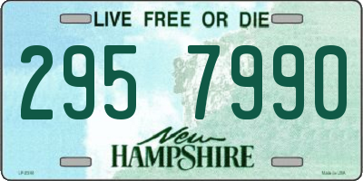 NH license plate 2957990