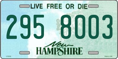 NH license plate 2958003