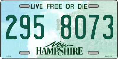 NH license plate 2958073