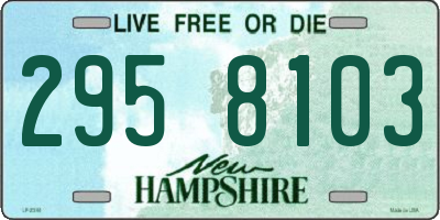 NH license plate 2958103