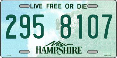 NH license plate 2958107