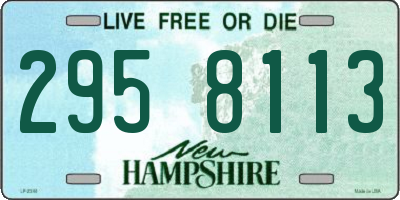 NH license plate 2958113