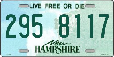 NH license plate 2958117