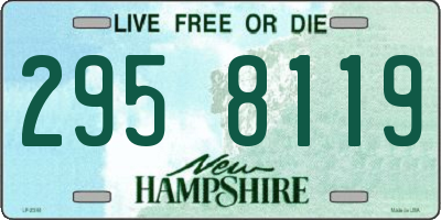 NH license plate 2958119