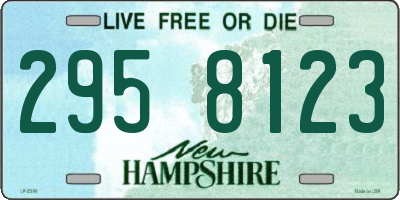 NH license plate 2958123